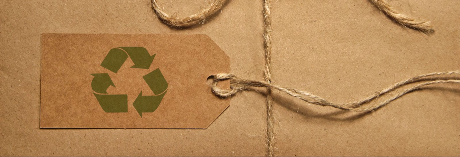 How Important Are Eco Friendly Packaging Options to Today’s Businesses?